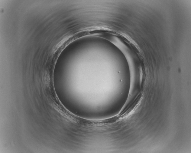 X0000070880969200606191311