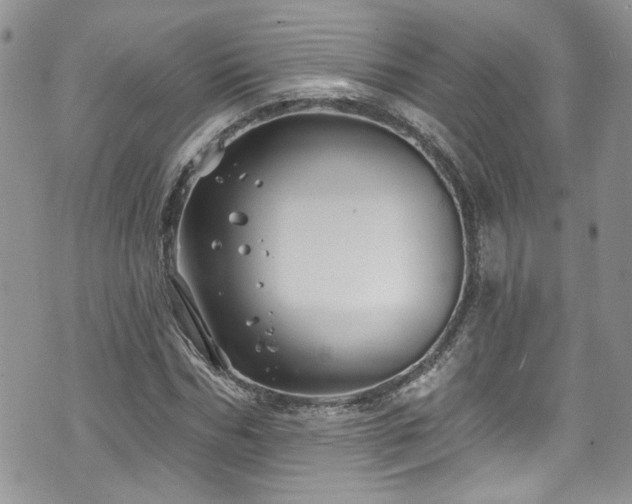 X0000070880970200606191311