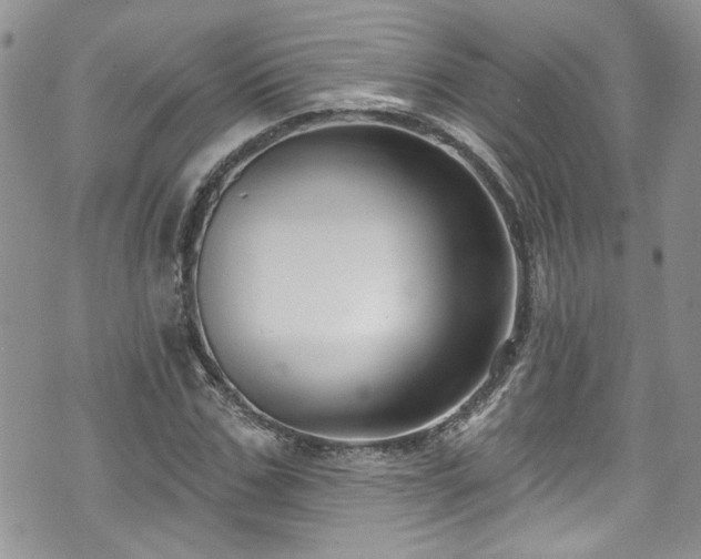 X0000070880971200606191311