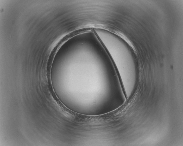 X0000070880972200606191311