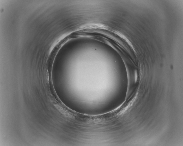 X0000070880973200606191311