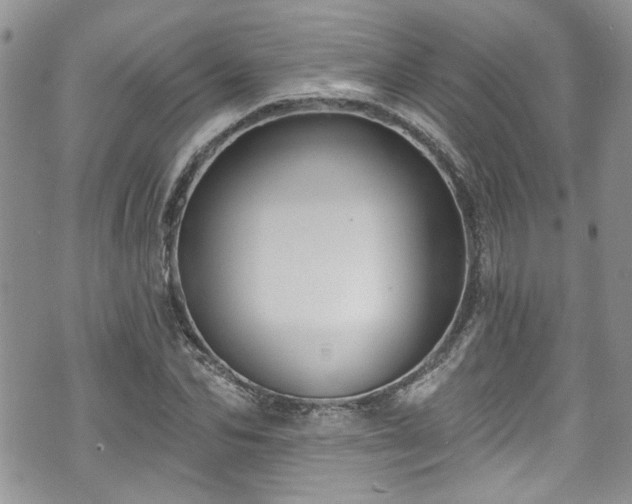 X0000070880974200606191311