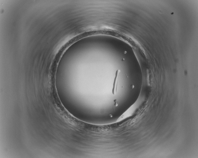 X0000070880975200606191311