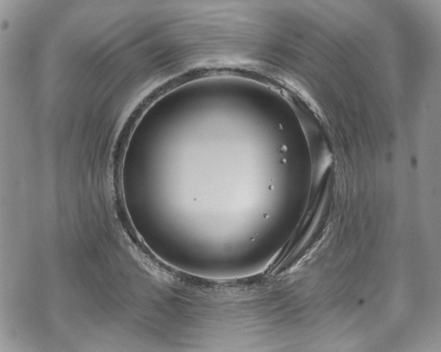 X0000070880976200606191311