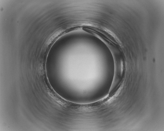 X0000070880977200606191311