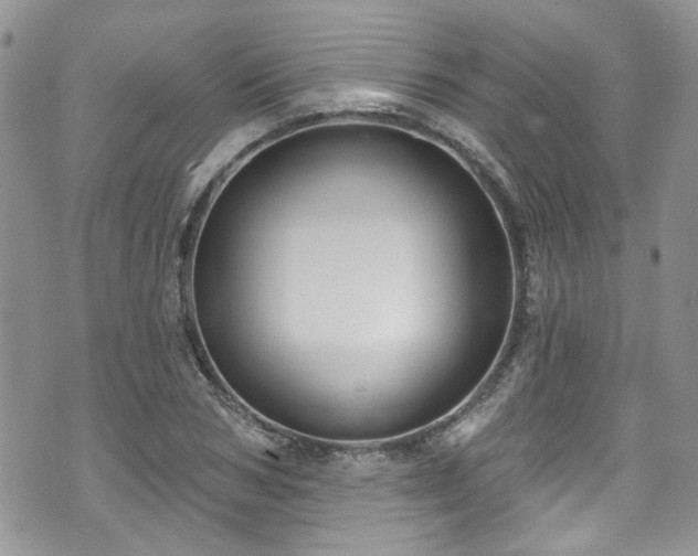 X0000070880978200606191311