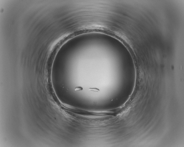 X0000070880979200606191311