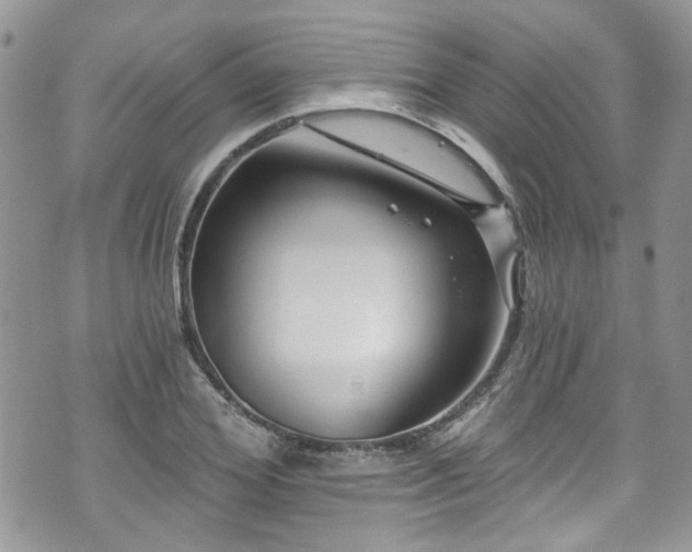 X0000070880980200606191311