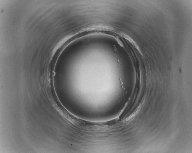 X0000070880981200606191311