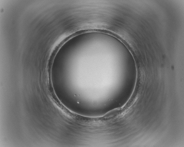 X0000070880982200606191311