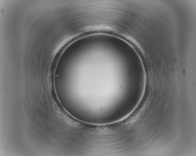 X0000070880983200606191311