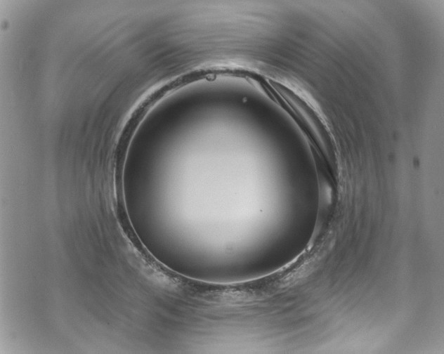 X0000070880984200606191311