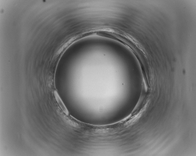 X0000070880985200606191311