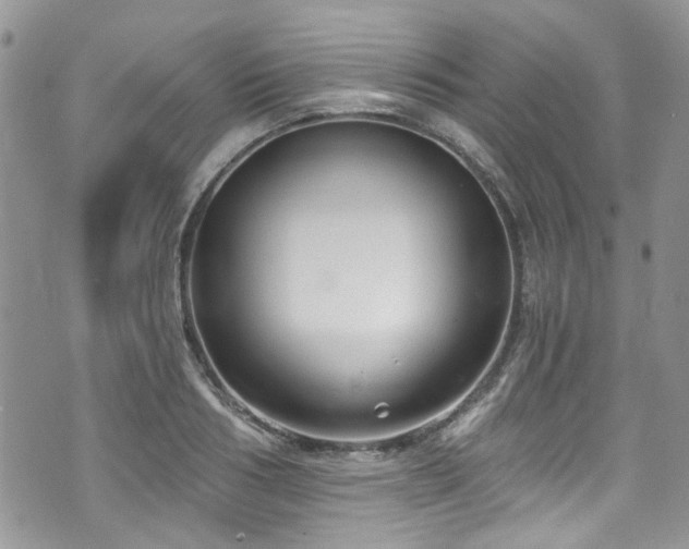 X0000070880986200606191311