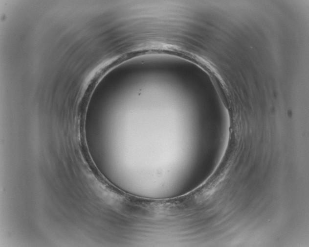 X0000070880987200606191311