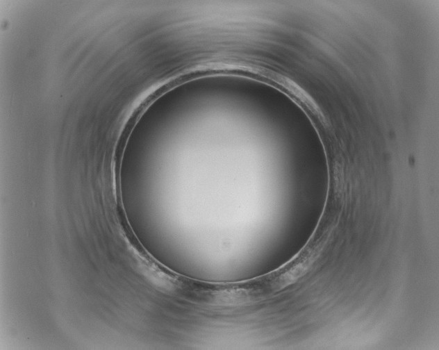 X0000070880988200606191311