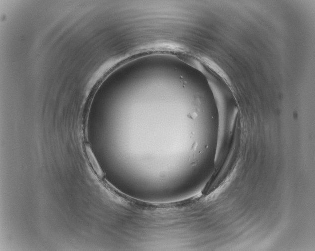 X0000070880989200606191311