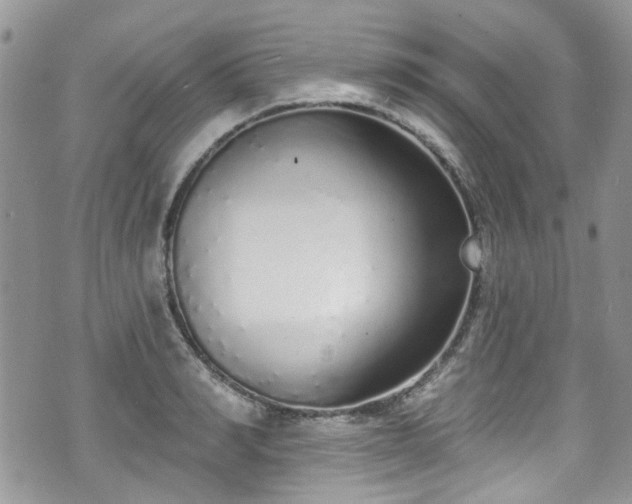 X0000070880990200606191311