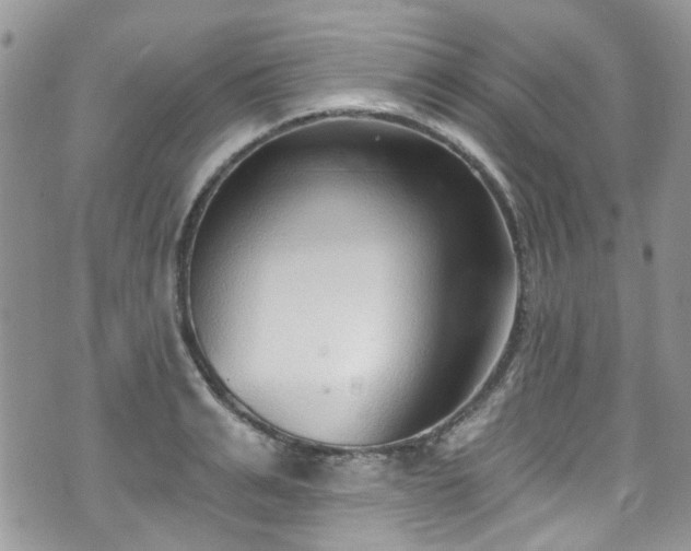 X0000070880991200606191310