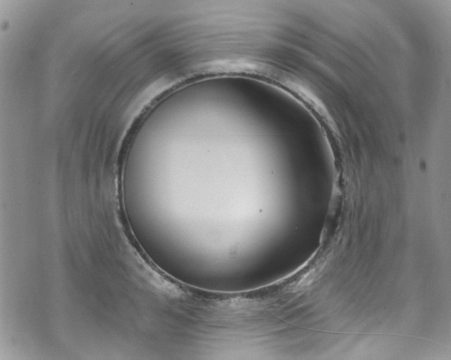 X0000070880992200606191310