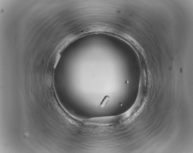 X0000070880993200606191310