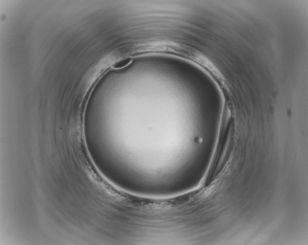 X0000070880994200606191310