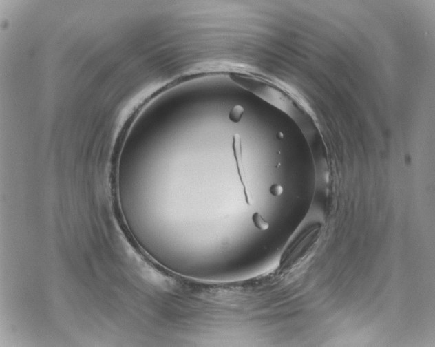 X0000070880995200606191310