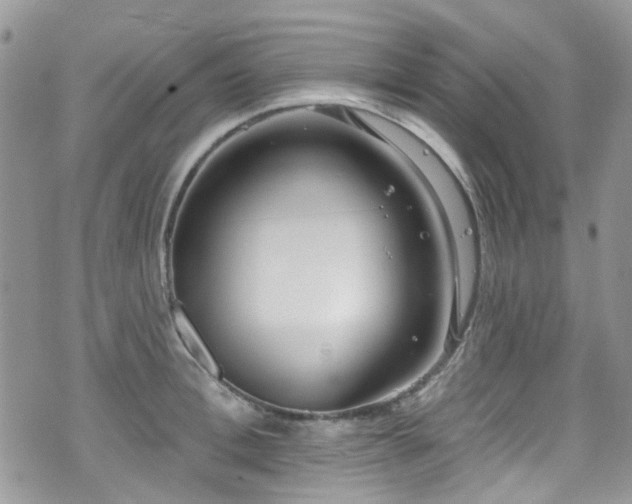 X0000070880996200606191310