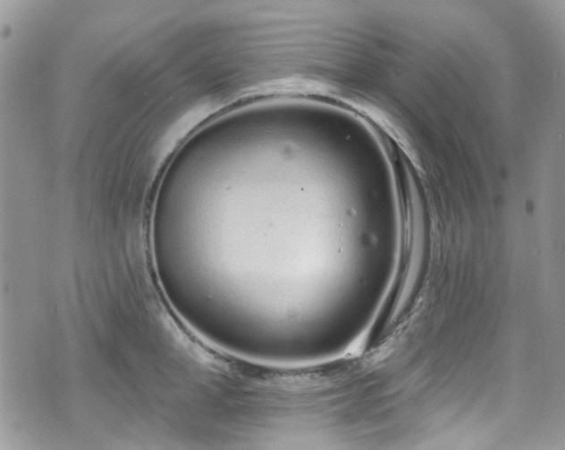 X0000070880998200606191310