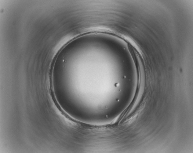 X0000070880999200606191310