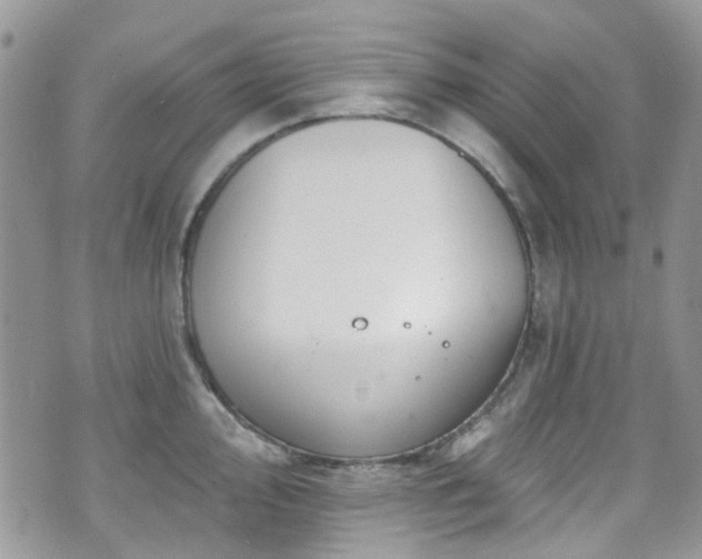 X0000070881000200606191310