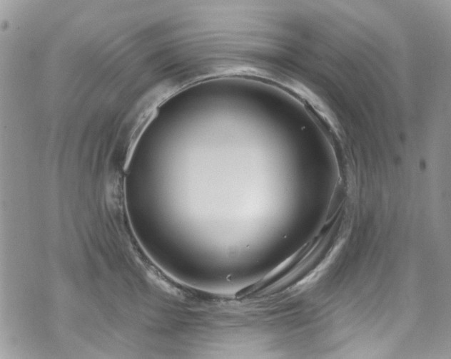 X0000070881001200606191310