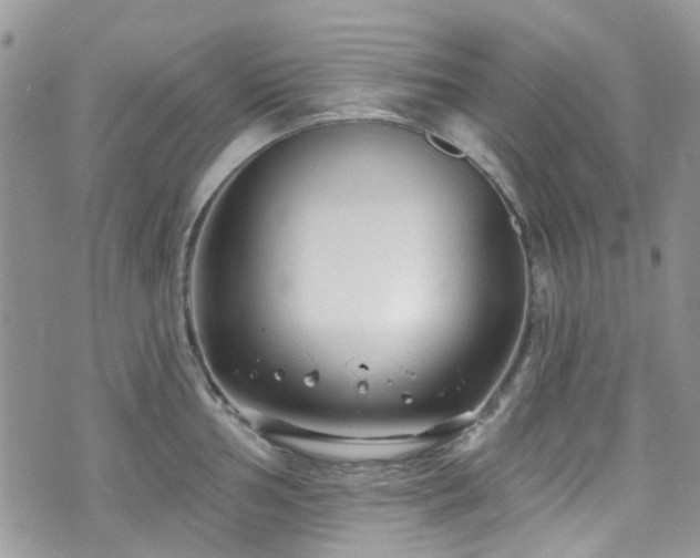 X0000070881002200606191310