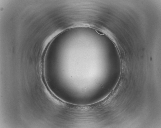 X0000070881003200606191310