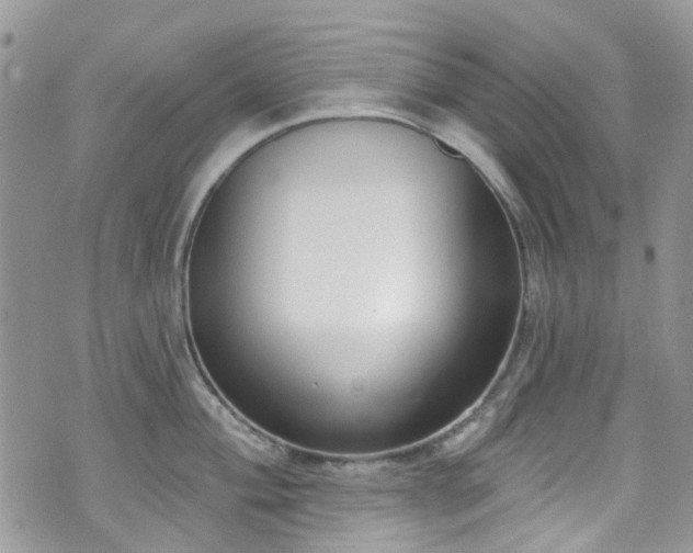 X0000070881004200606191310