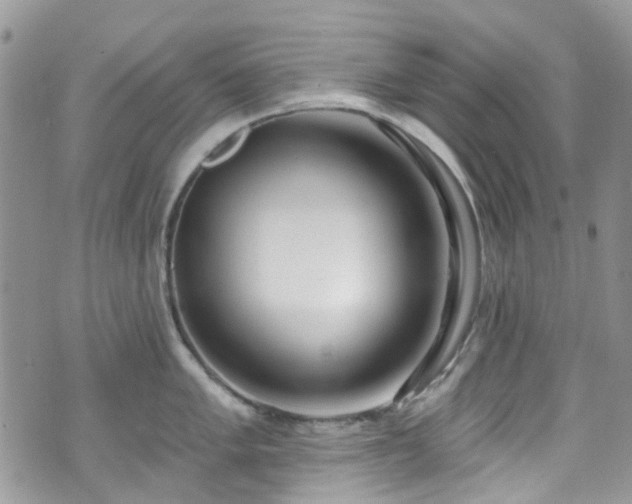 X0000070881005200606191310