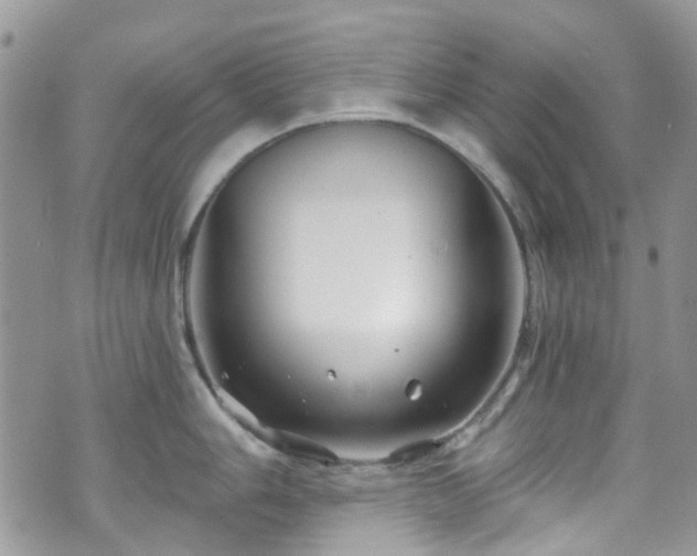 X0000070881006200606191310