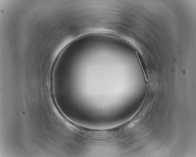 X0000070881007200606191310