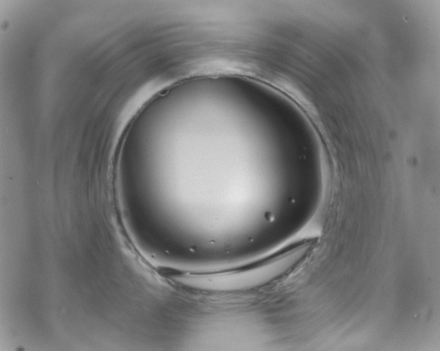 X0000070881008200606191310