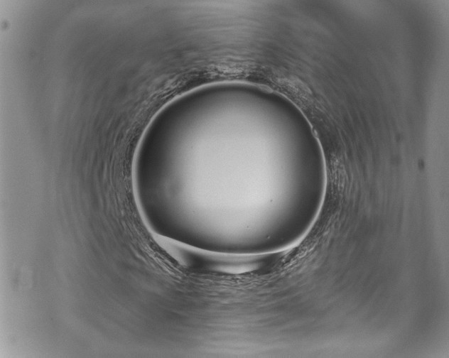 X0000070881009200606191309