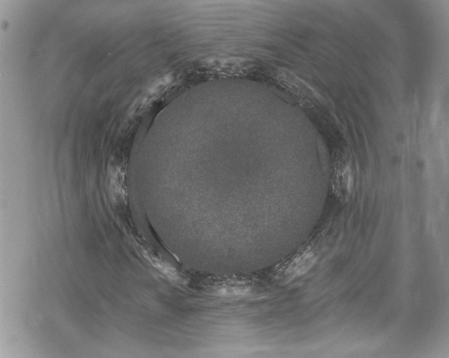 X0000070881010200606191309