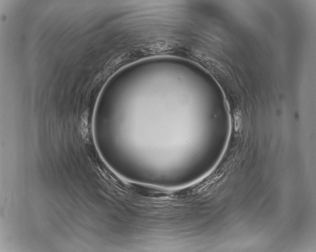 X0000070881011200606191309