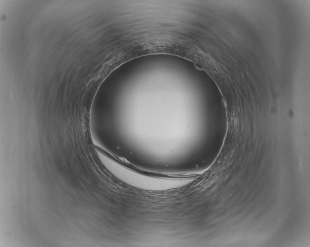 X0000070881012200606191309