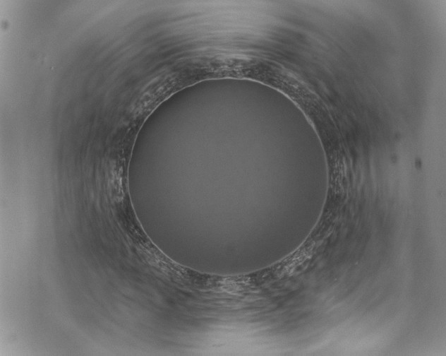 X0000070881013200606191310