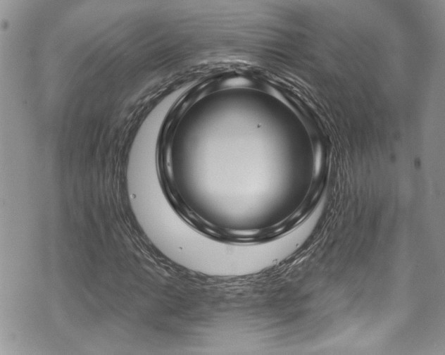 X0000070881014200606191310