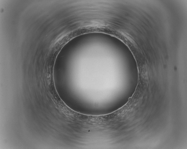 X0000070881015200606191310