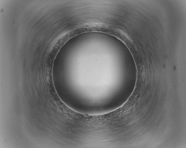 X0000070881016200606191310