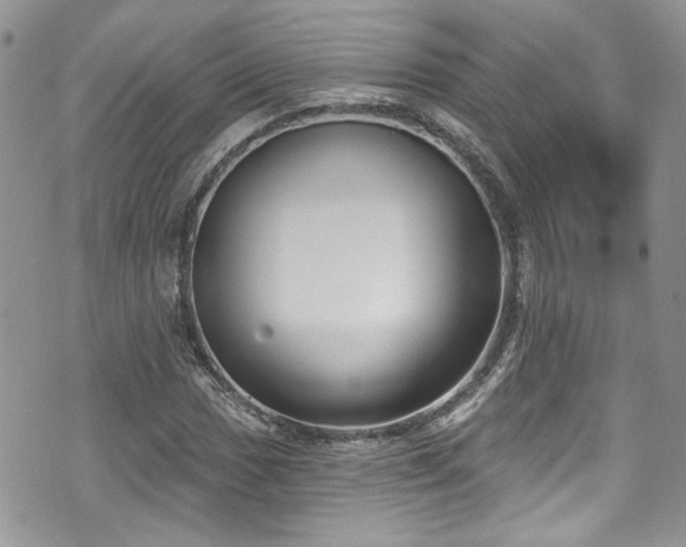 X0000070881017200606191310