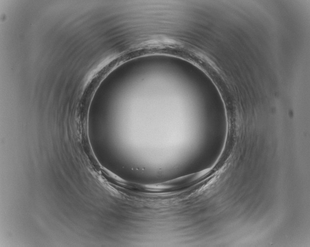 X0000070881018200606191310