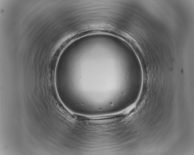 X0000070881019200606191310